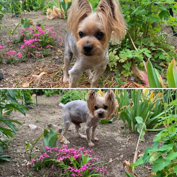 F5a7a05b 9044 4dd2 8e4a 5292af7f23d1 1623837576885