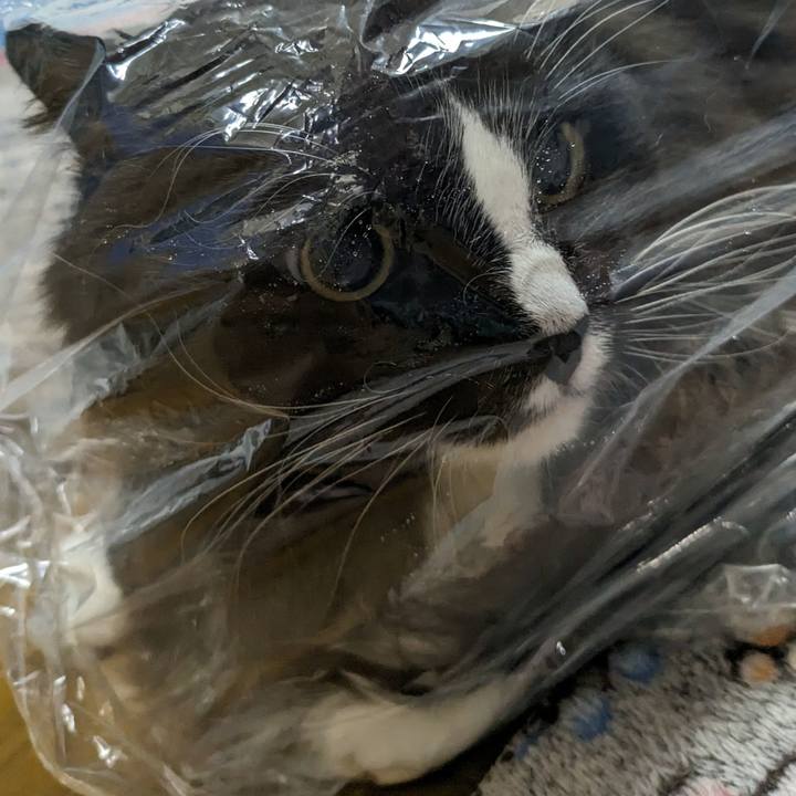 F5a7e5b0 b2da 47d3 96da 19a69d17d9e0 1696853732402