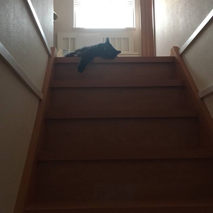 F5a7ebe2 b93f 4547 a38c b9601c1c7ae9 1532173613209