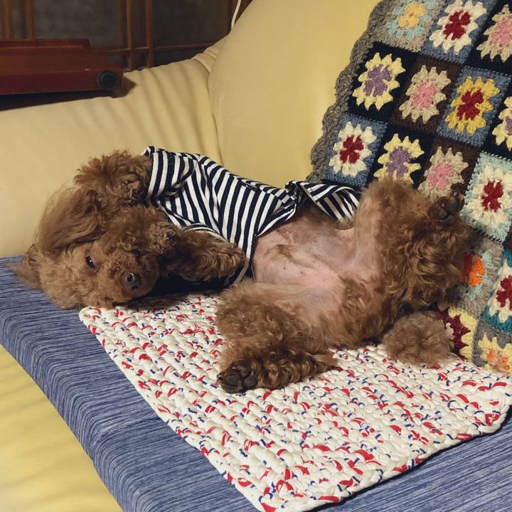 F5a7f64f 6eb4 498f 873e 7c2afaa9dc54 1558104973379