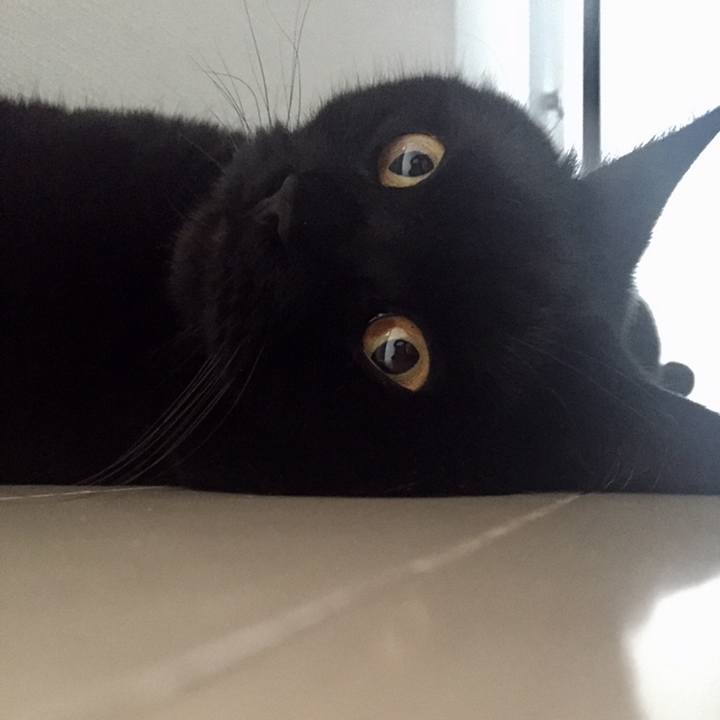 F5a83b5d 9fd5 42f9 a935 cbb3747c70c7 1558740768749