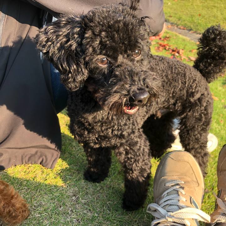 F5a84df9 f267 4bdd 953a e839cd340667 1509878518448