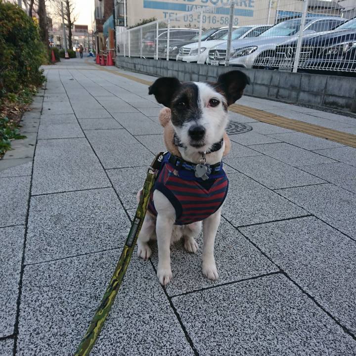 F5a86c77 a336 4af4 826c 2ccb9817e802 1515621456929