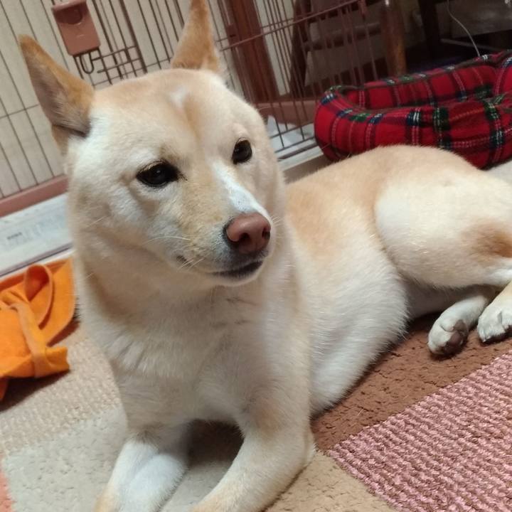 F5a8788d 7d27 4614 9cc3 6bc0afc7dd1f 1543055437428