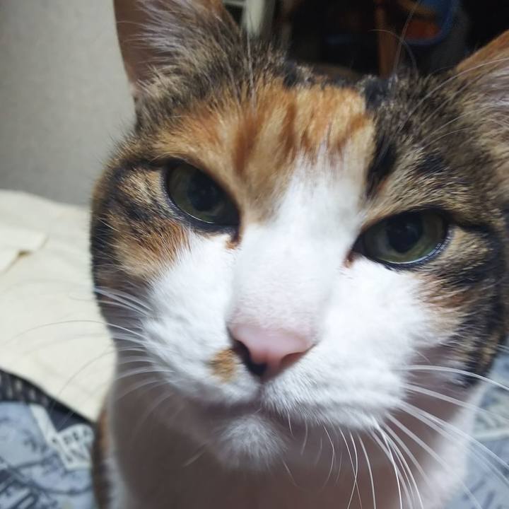 F5a8a650 7f7c 4946 a1f0 767576f27d3a 1579044337399