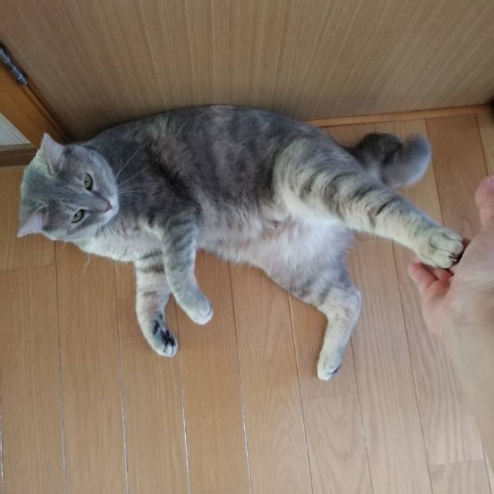 F5a8b6d0 7962 48ef 8fbd f15fcac0de3f 1534204529132