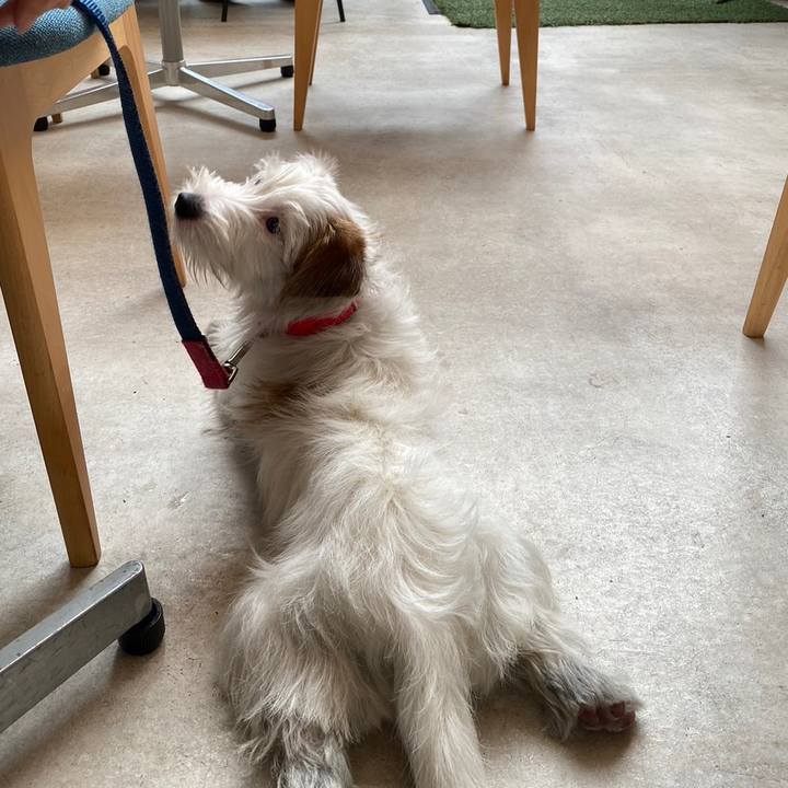 F5a8bdb3 acca 4567 862d a4ed80856ec1 1705234488431