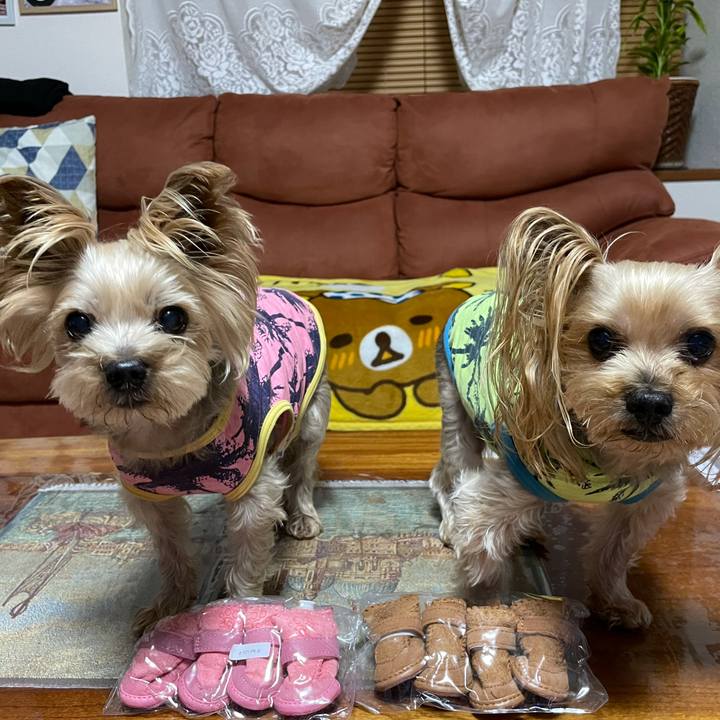 F5a8d3d7 cca2 4a03 96e7 7a4e4a63bbc8 1607332676131