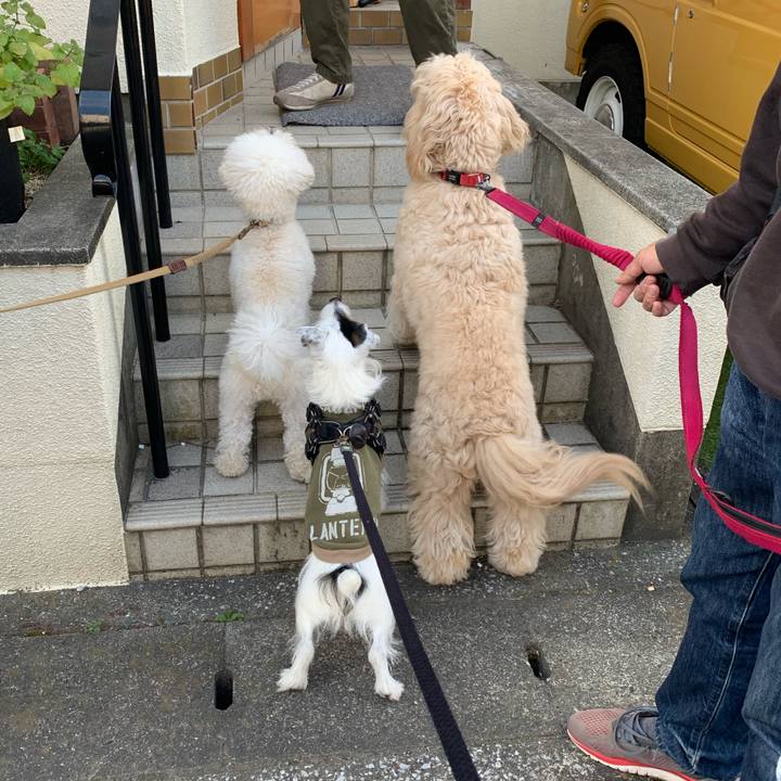 F5a8deb8 5265 4f11 abee f3341c4f8181 1702257545738