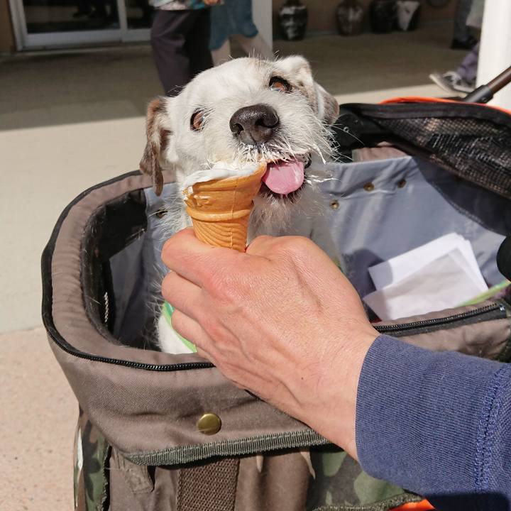 F5a8e122 5d1a 4da9 bbf1 6a6b7c8a6e1e 1521072956180