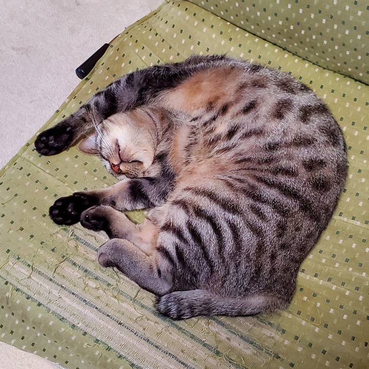 F5a91183 0389 4bbe 8a78 8854d2aa0069 1702470468003