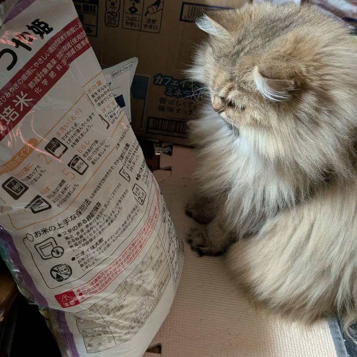 F5a93f00 05c4 460a b320 f3360c3806e4 1764720700695