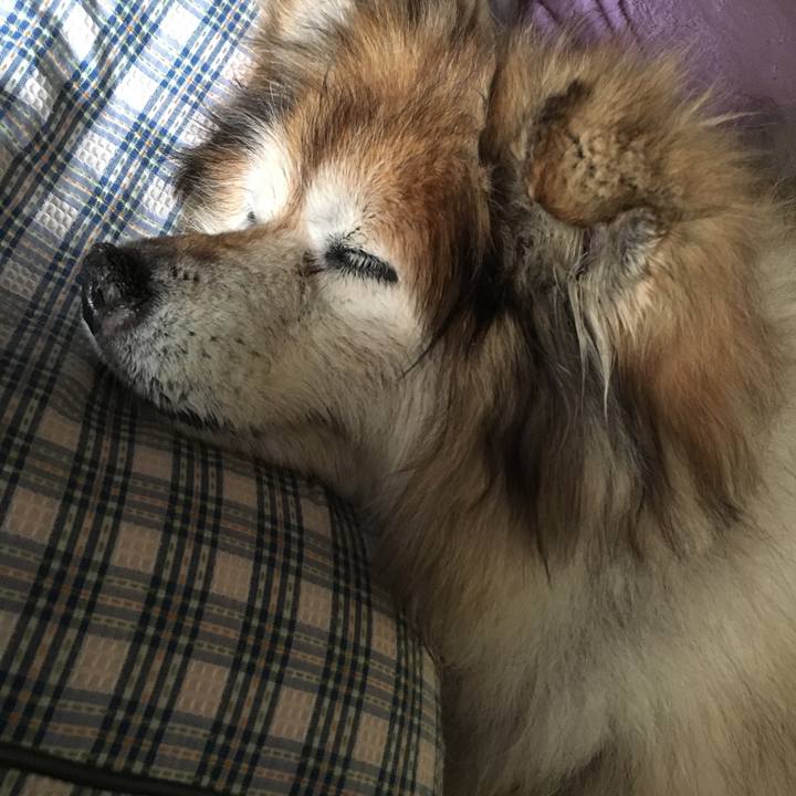 F5a9498f ac50 456e b827 2af9113b1bea 1557118787174