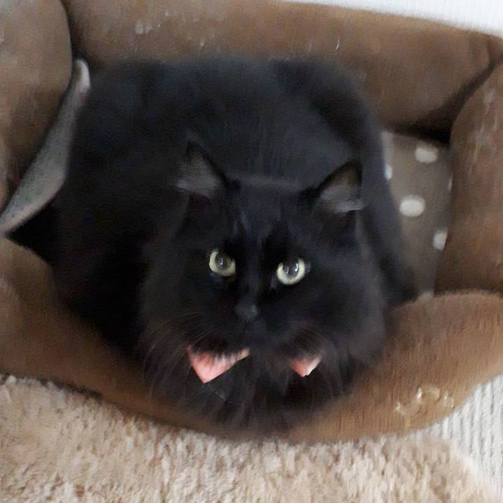 F5a961de 44a6 4308 ae92 3f2aebee210f 1520790819891