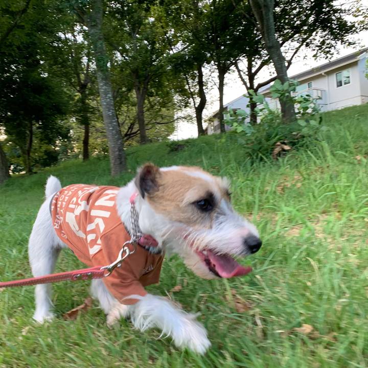 F5a973c1 90fe 41cf 9309 a8066605d11c 1599559527112