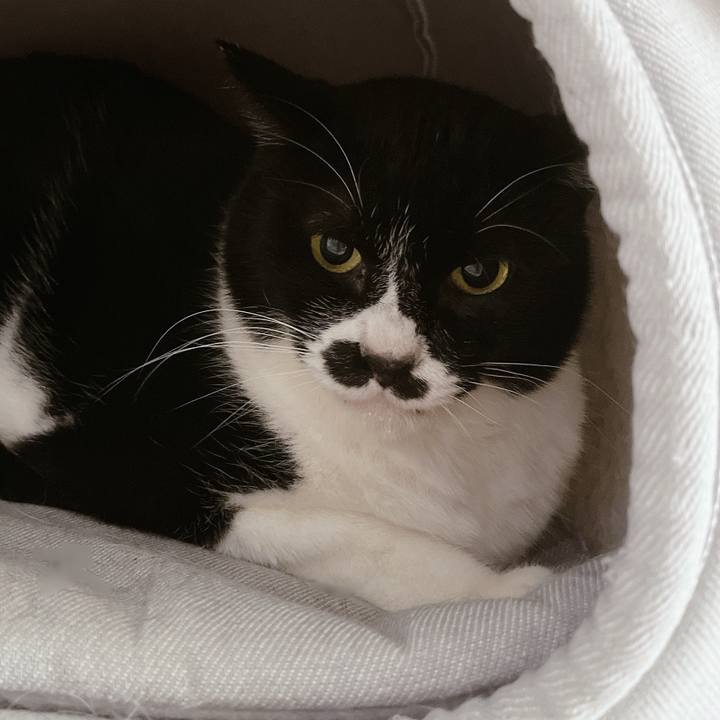 F5a97b15 b169 4f03 bd07 17bc2d71f475 1707263975798