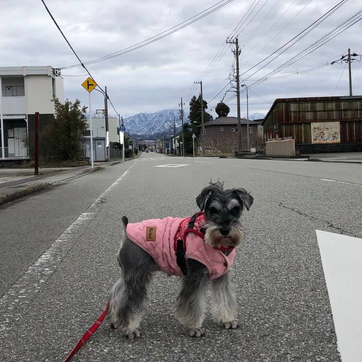 F5a9abe7 1d8e 40f2 9a25 bc6c65dccba3 1577846820454