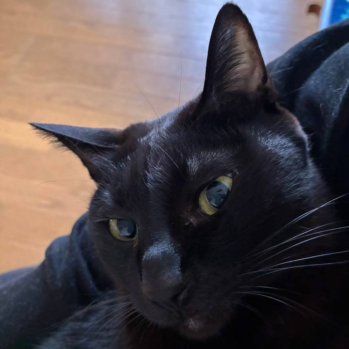 F5a9e2a1 101f 45bb 8d7d 0c03474b3d69 1745012394460