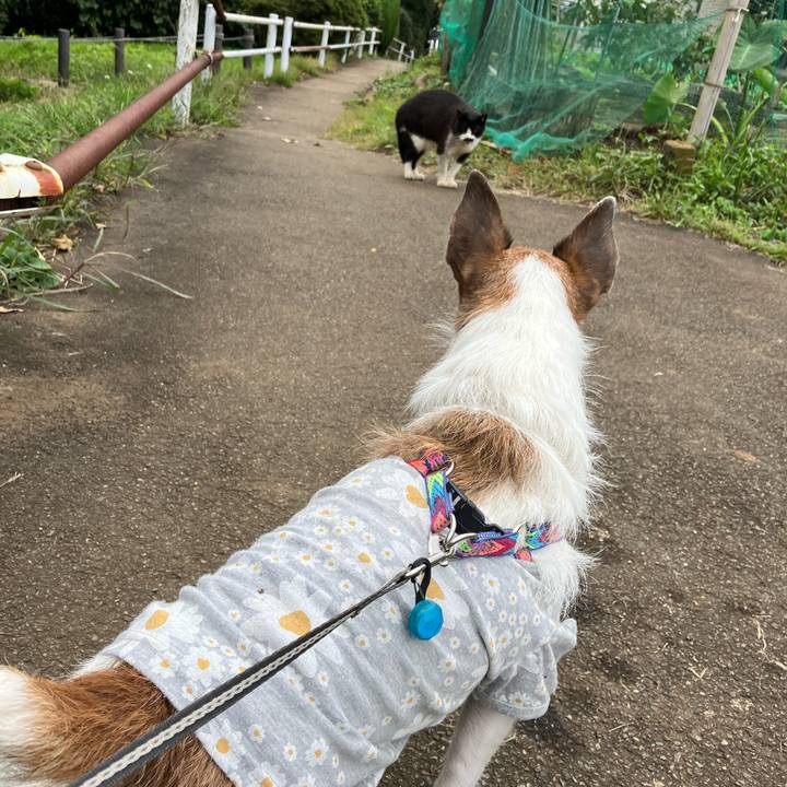 F5aa6c03 710b 4a77 8390 67bda9fa024d 1666739926823