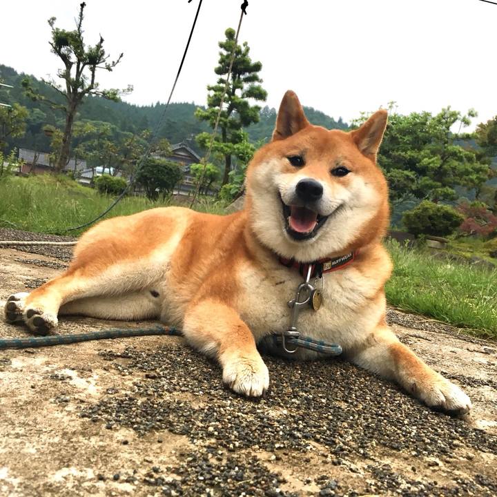 F5aa802a b05e 47db 9959 5c6dcdd2bd24 1528286012950