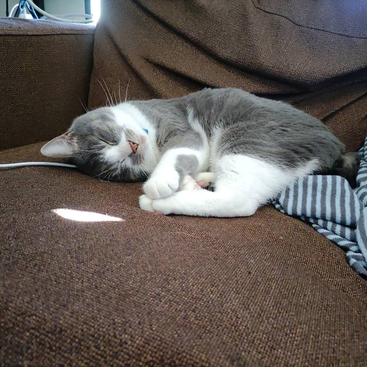 F5aa9efa 32e9 46d2 96c4 a58c829207cb 1676510002192