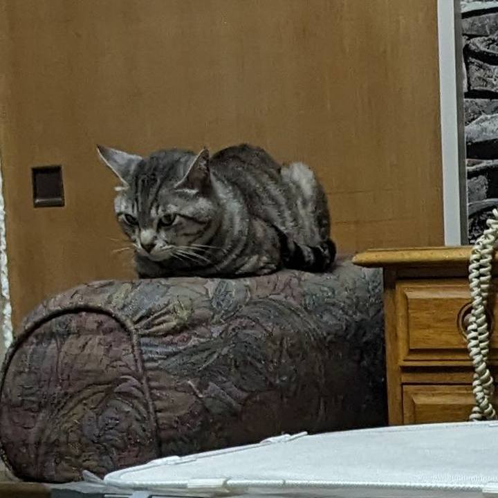 F5aab1c3 ba3a 450a bd43 148c29fb139d 1717941887556