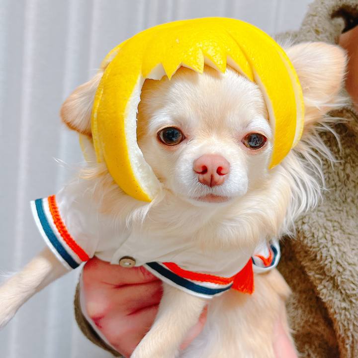 F5aacd08 a5b3 48ee 9021 0b0db1bda6cb 1647951458233