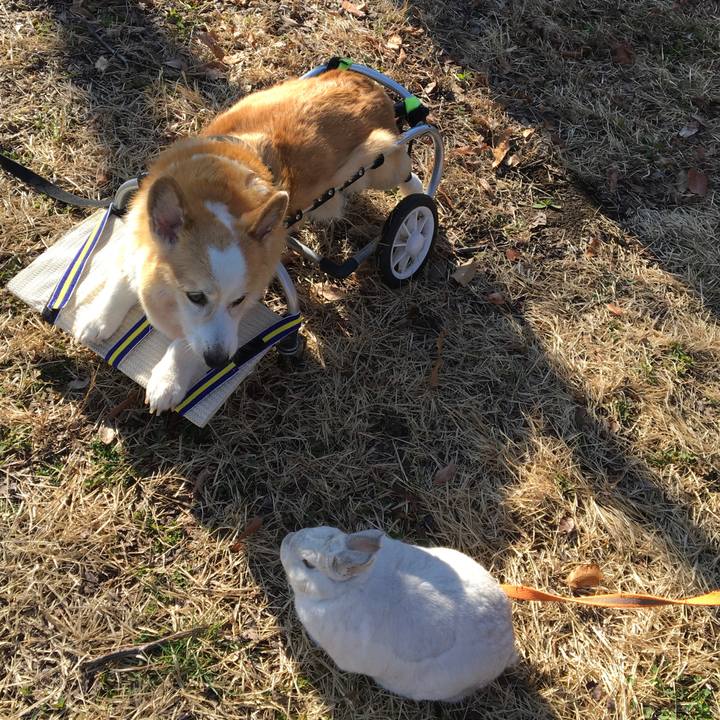 F5aad1f3 7547 4462 8c7e f3480bf1f1a3 1580347183559