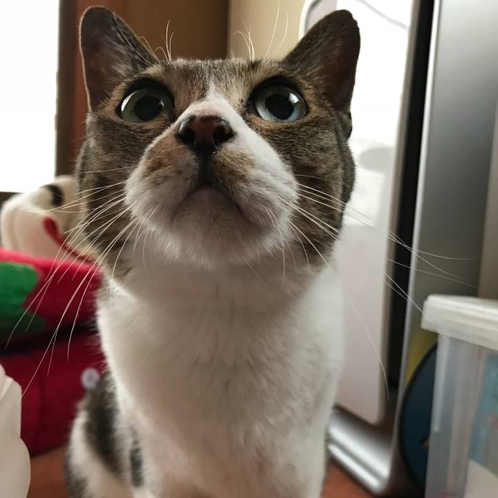 F5aae9d1 068b 4f55 a30e 863e99e144d0 1530234018380