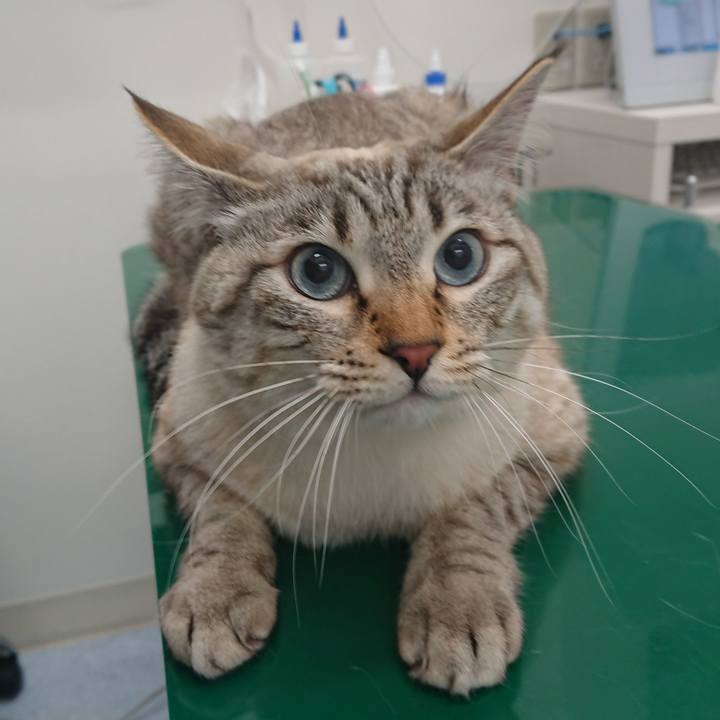 F5aafbb8 cc6c 42be a5d7 4d4f77c6fbc1 1518780366571