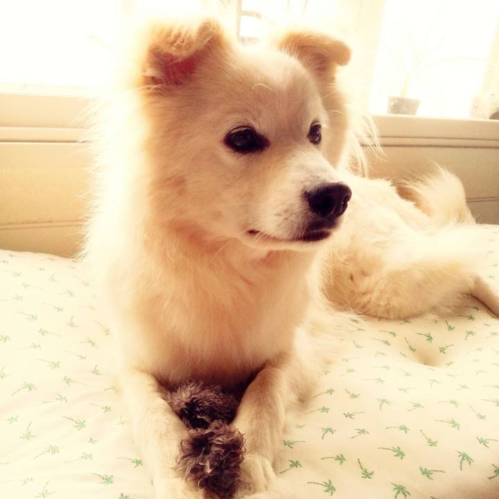 F5ab01f8 d9c8 4fd8 ad7d 2acaac89879f 1526626806328