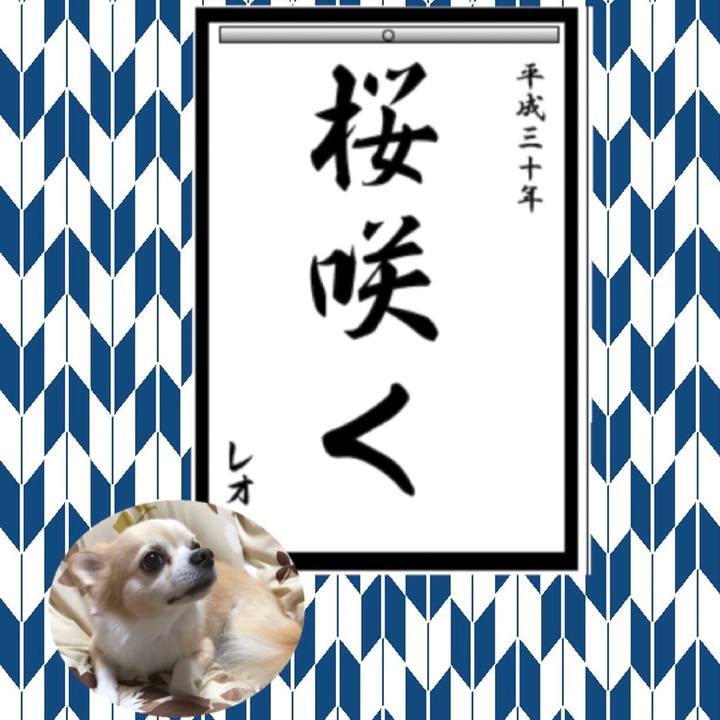 F5ab18f9 d087 4e60 822c 89c70aeee705 1514873049907