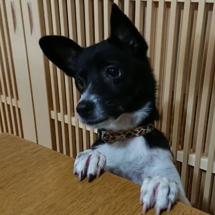 F5ab328c a441 4941 a989 c2467d6ffb7d 1571144411741