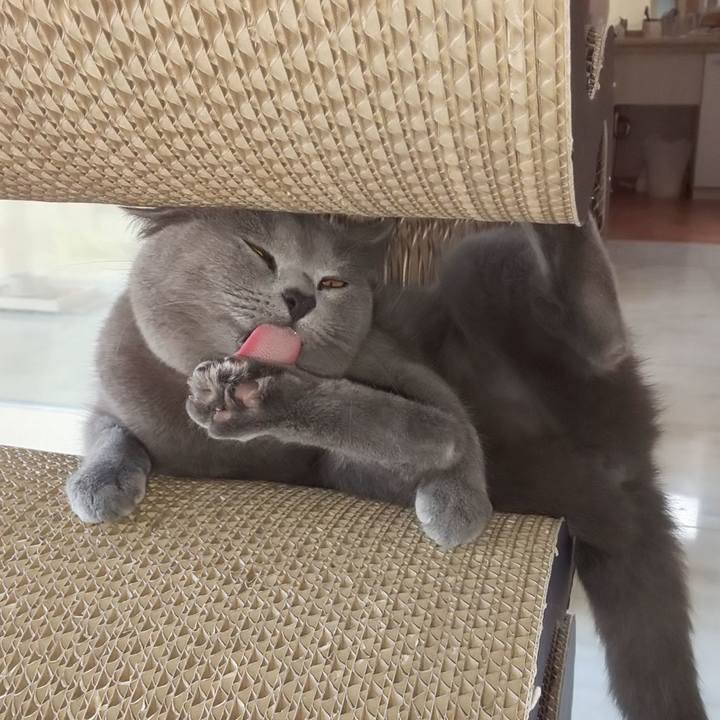 F5ab5b89 fe15 4342 b3b8 484f5e107c74 1539154238916