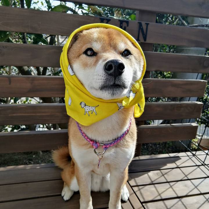 F5ac2032 7221 40df 97ad 738c2aa43d78 1614219110635