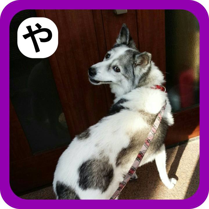 F5ac4cca 1092 4650 864a 9f3e24f2ec49 1515158131665