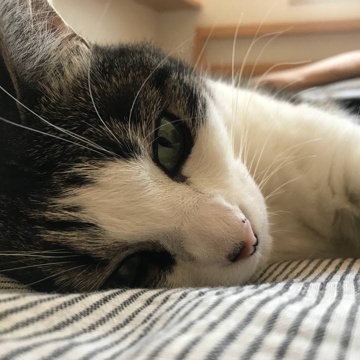 F5ac4f60 1d9a 4f02 b328 d8b700c8d593 1531618457637