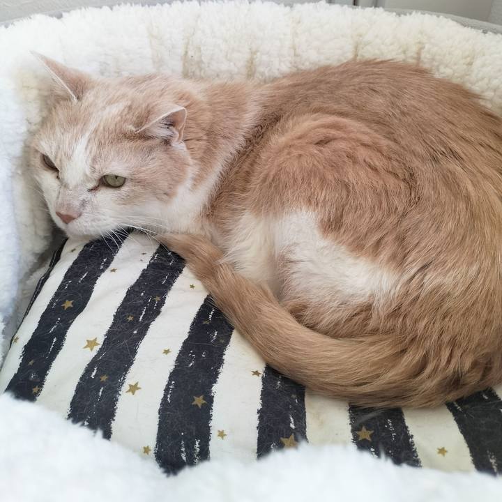 F5ac572c b210 44a3 b296 12454e4a1e60 1703375351613