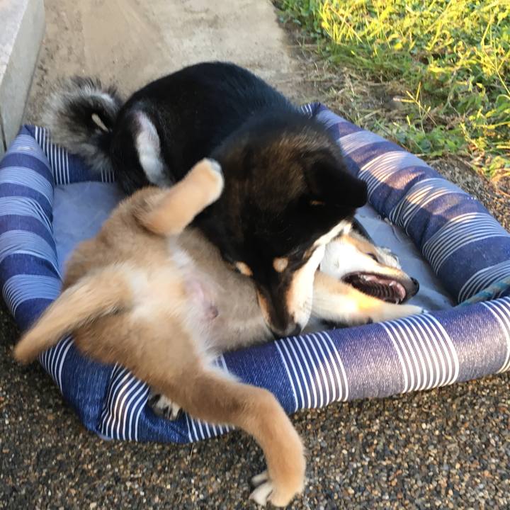 F5ac6b6c 88cd 4735 bfe9 84076f298235 1564190101237