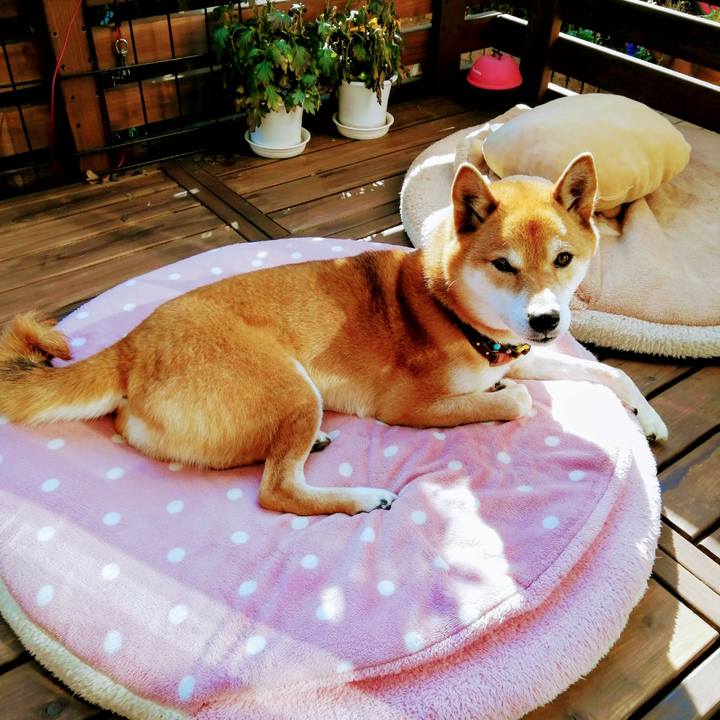 F5ac8e18 5493 49ef 9e43 30f251ffa0c4 1611722612055