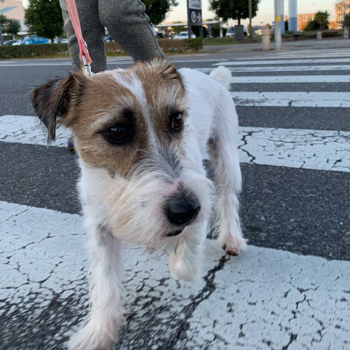 F5acc2db ba2d 4c20 a5f3 b6140d4552ac 1605601566257