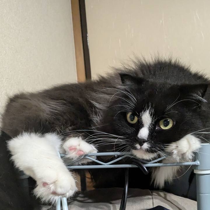 F5ace323 181c 4f24 8cee 8c0220d5fb63 1723862886241