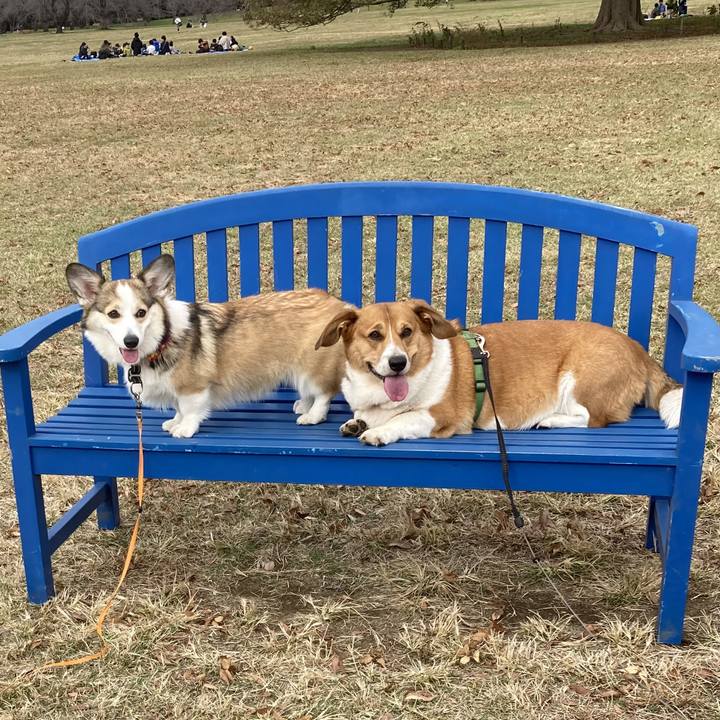 F5acf664 cfbd 4b3c 8260 03b2e9c0ea85 1731925128780