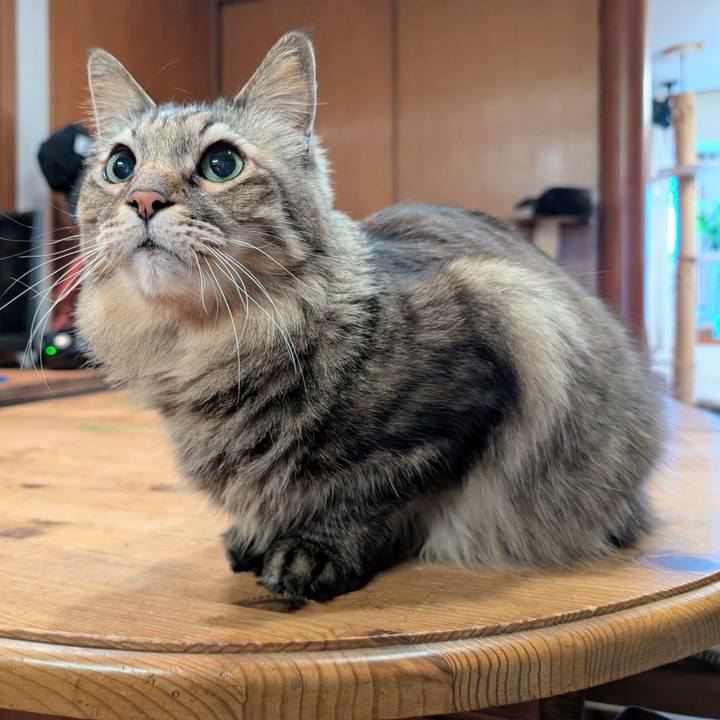 F5ad1261 ad82 47ed 9972 e66215a91e1e 1773010507040