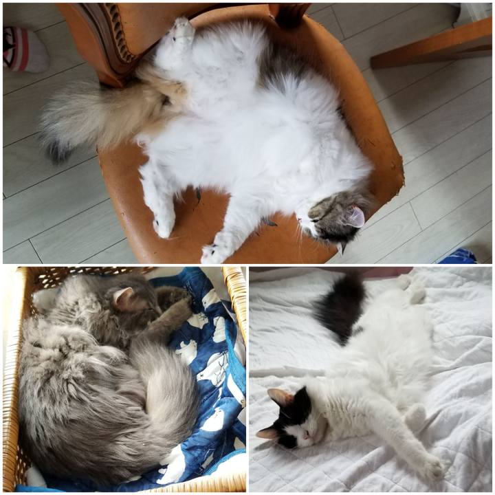 F5ad1507 e47f 416d 8d1e c580b3321300 1591998938194