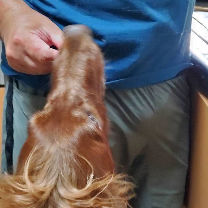 F5ad4c62 10c6 49f7 9312 22876f213c53 1756477023259