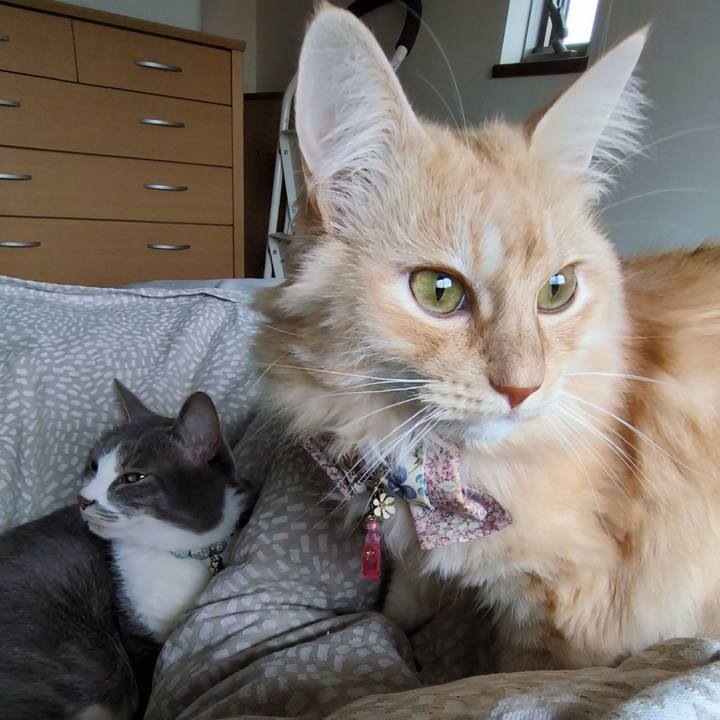 F5ad5593 6f46 4a09 a2a7 0693f94fa1c1 1764726015652