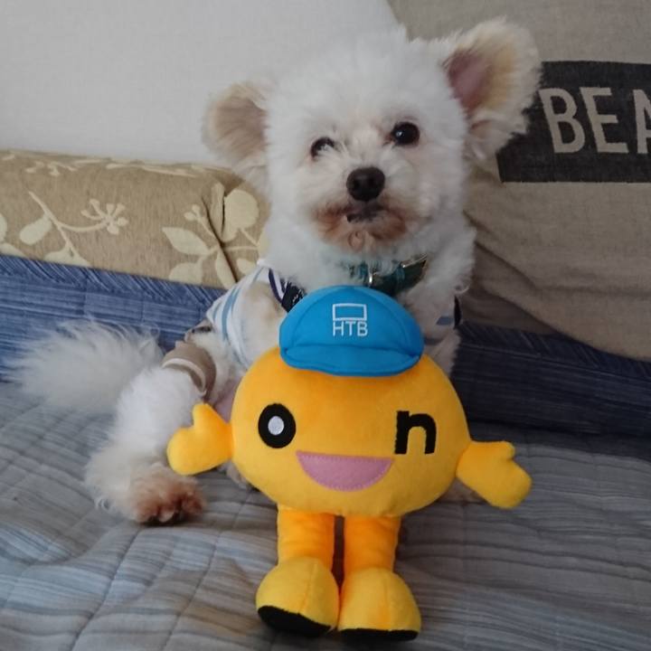 F5ad6106 75fd 4b36 b3b2 4c595a184fbf 1526435974661