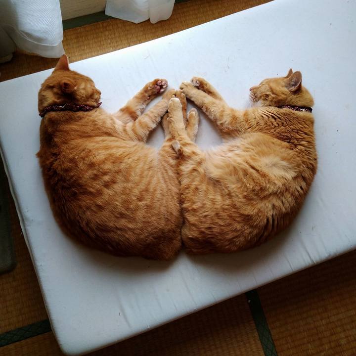 F5ad6ec1 0c83 4836 80c8 522e06ccae54 1625646173966