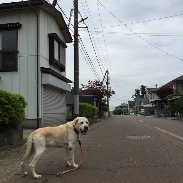 F5add4dc 0591 40e8 8f00 f304e4f67cc0 1525237641667